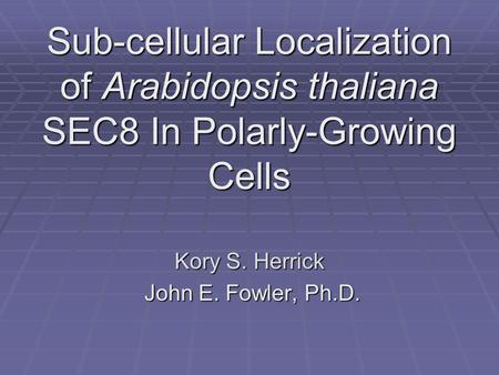 Sub-cellular Localization of Arabidopsis thaliana SEC8 In Polarly-Growing Cells Kory S. Herrick John E. Fowler, Ph.D. John E. Fowler, Ph.D.