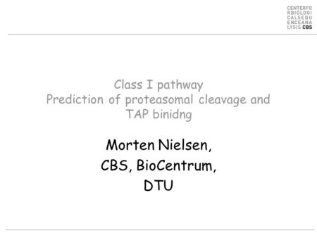 Class I pathway Prediction of proteasomal cleavage and TAP binidng Morten Nielsen, CBS, BioCentrum, DTU.