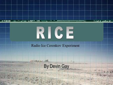 By Devin Gay Radio Ice Cerenkov Experiment. RICE got off the ground and into the ice in 1995 They got started when AMANDA collaborations agreed to co-