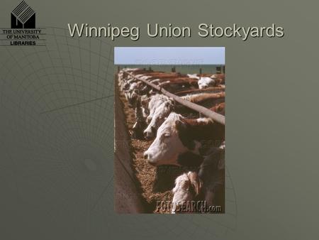 Winnipeg Union Stockyards
