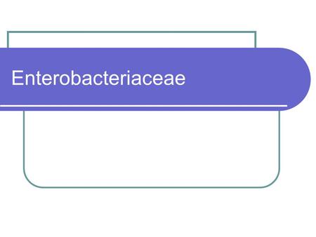 Enterobacteriaceae.