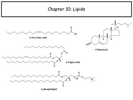 Chapter 10: Lipids.