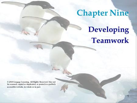 Chapter Nine Developing Teamwork