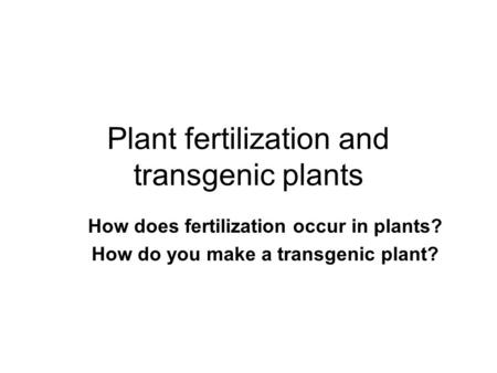 Plant fertilization and transgenic plants How does fertilization occur in plants? How do you make a transgenic plant?