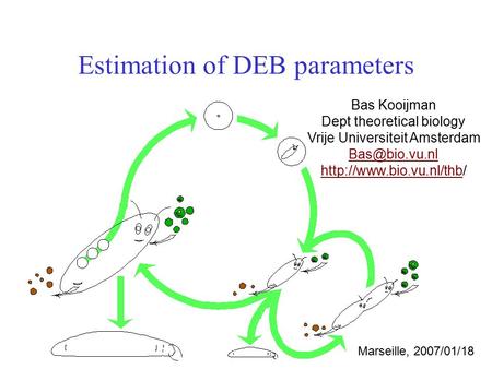 Estimation of DEB parameters Bas Kooijman Dept theoretical biology Vrije Universiteit Amsterdam