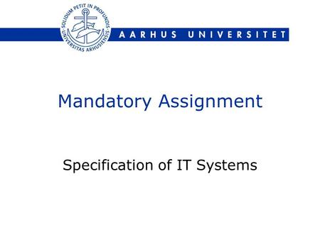Mandatory Assignment Specification of IT Systems.
