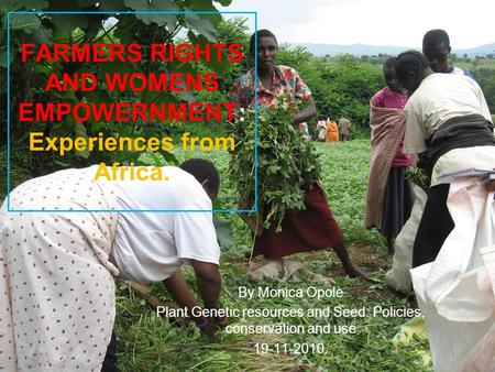 FARMERS RIGHTS AND WOMENS EMPOWERNMENT: Experiences from Africa. By Monica Opole Plant Genetic resources and Seed: Policies, conservation and use 19-11-2010.