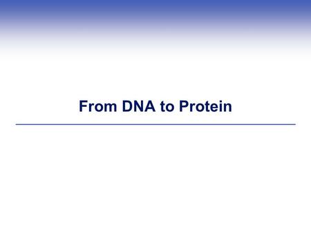 From DNA to Protein.
