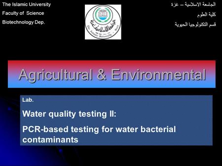 Agricultural & Environmental Lab. Water quality testing II: PCR-based testing for water bacterial contaminants The Islamic University Faculty of Science.