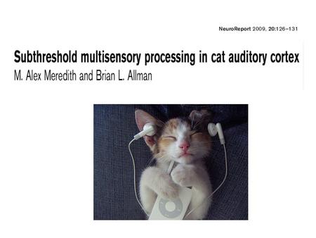 Multisensory convergence Traditionally, represented by inputs from more than one sensory modality, each of which can independently activate the target.