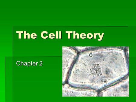 The Cell Theory Chapter 2. The Cell AAAAll living things are made of cells. CCCCells are the smallest living unit of life. EEEEach cell performs.