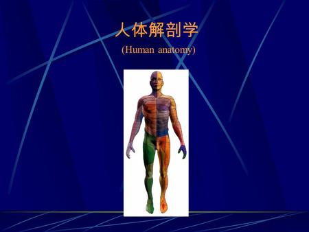 人体解剖学 (Human anatomy). 绪论，骨和骨连结，躯干骨及其连结 1. 人体解剖学的历史 2. 方位术语 3. 骨总论 4. 骨连结总论 5. 躯干骨及其连结.