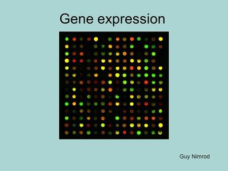Gene expression Guy Nimrod.
