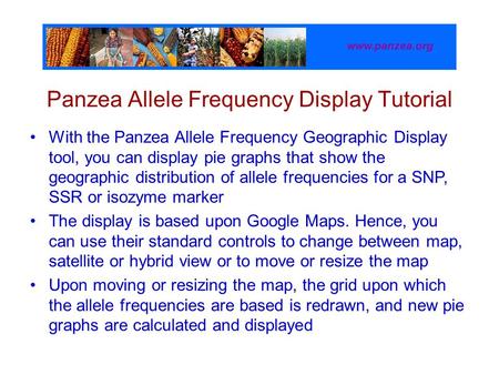 Panzea Allele Frequency Display Tutorial www.panzea.org With the Panzea Allele Frequency Geographic Display tool, you can display pie graphs that show.