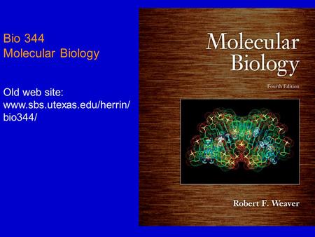 Bio 344 Molecular Biology Old web site: www.sbs.utexas.edu/herrin/ bio344/