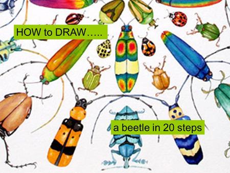 HOW to DRAW….. a beetle in 20 steps.