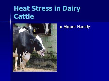 Heat Stress in Dairy Cattle Akrum Hamdy Akrum Hamdy.