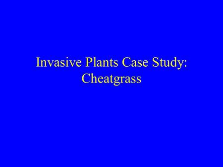 Invasive Plants Case Study: Cheatgrass. Taxonomy Bromus tectorum L. = Anisantha tectorum Nevski Family – Poaceae Subfamily – Pooideae Tribe – Poeae Common.