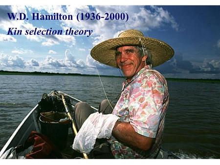 W.D. Hamilton (1936-2000) Kin selection theory.