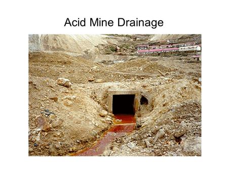 Acid Mine Drainage. Microorganisms and Metal Toxicity microorganisms can modify toxicity of metals differing sensitivities of multicellular organisms.