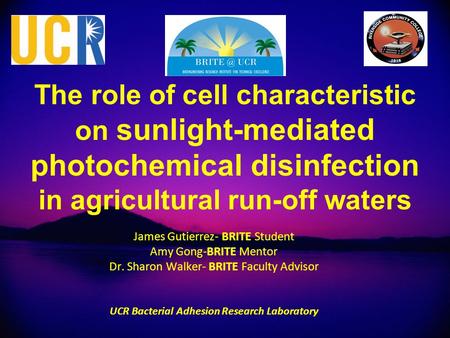The role of cell characteristic on sunlight-mediated photochemical disinfection in agricultural run-off waters James Gutierrez- BRITE Student Amy Gong-BRITE.