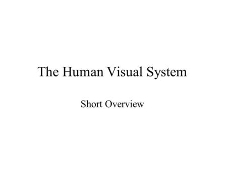 The Human Visual System Short Overview. Terms: LGN, cortex, primary visual cortex, V1.