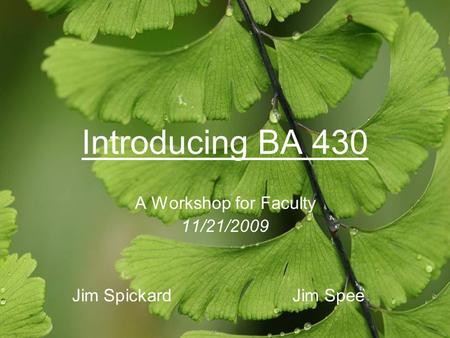 Introducing BA 430 A Workshop for Faculty 11/21/2009 Jim SpickardJim Spee.