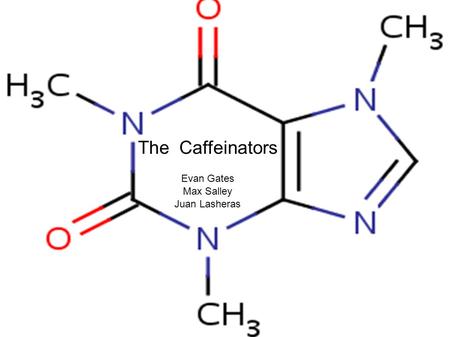 The Caffeinators Evan Gates Max Salley Juan Lasheras.