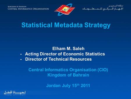 Statistical Metadata Strategy Elham M. Saleh - Acting Director of Economic Statistics - Director of Technical Resources Central Informatics Organisation.