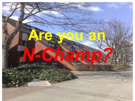 Are you an N-Champ?. Electrical Energy Saving.