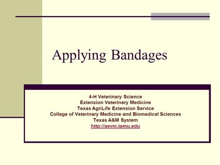 Applying Bandages 4-H Veterinary Science Extension Veterinary Medicine Texas AgriLife Extension Service College of Veterinary Medicine and Biomedical Sciences.
