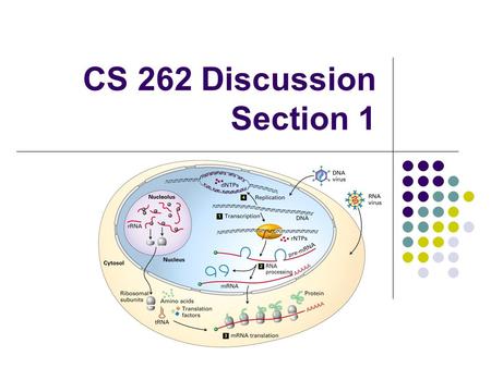 CS 262 Discussion Section 1. Purpose of discussion sections To clarify difficulties/ambiguities in the problem set questions and lecture material. To.