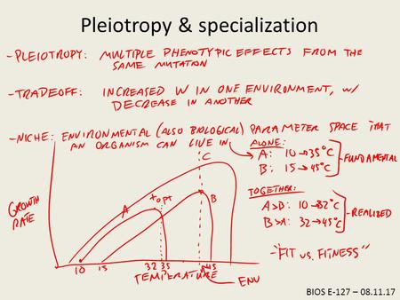 BIOS E-127 – 08.11.17 Pleiotropy & specialization.