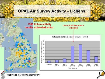 OPAL Air Survey Activity - Lichens 1088 lichen activity results uploaded so far! Launch of ‘live phase’ 29.09.09.