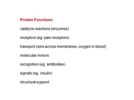 Protein Functions: catalyze reactions (enzymes) receptors (eg. pain receptors) transport (ions across membranes, oxygen in blood) molecular motors recognition.