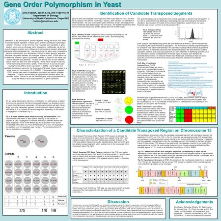 Gene Order Polymorphism in Yeast Dina Faddah, Jason Lieb, and Todd Vision Department of Biology University of North Carolina at Chapel Hill