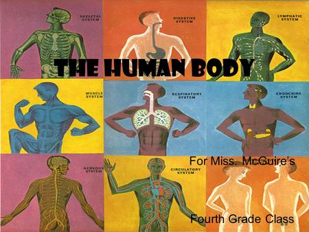 The Human Body For Miss. McGuire’s Fourth Grade Class.