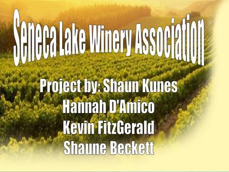 Non-profit trade association made up of award- winning wineries surrounding Seneca Lake Current membership includes 28 wineries Mission statement is “that.