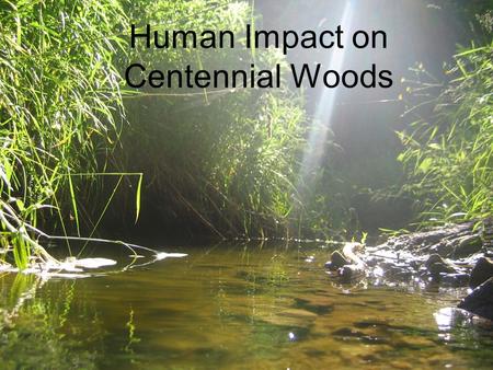Human Impact on Centennial Woods. Water Tests pH Conductivity Dissolved Oxygen Temperature Width Depth Velocity Phosphorus Conductivity reflects salt.