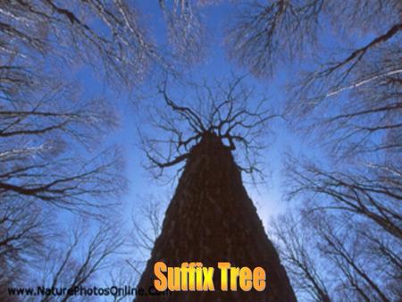 2 Suffix Tree: Definition Suffix tree T על מחרוזת S שגודלה n, הוא עץ מכוון עם בדיוק n עלים ממוספרים מ -1 עד n. לכל צומת פנימית ( חוץ מהשורש ) יש לפחות.