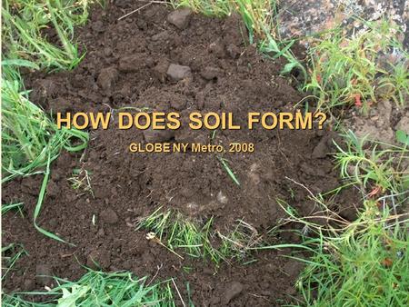 HOW DOES SOIL FORM? GLOBE NY Metro, 2008. Why do we study soil? Because It’s A(n) Great integrator Producer and absorber of gases (CO 2 and others) Medium.