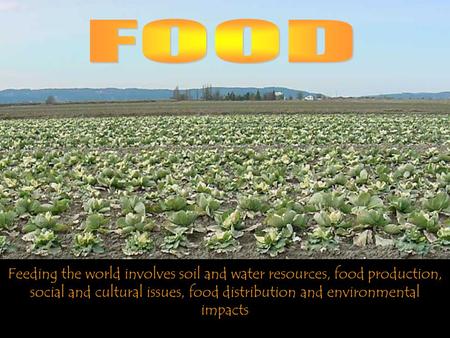Feeding the world involves soil and water resources, food production, social and cultural issues, food distribution and environmental impacts.