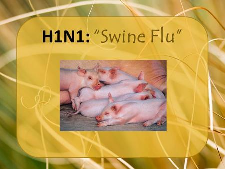 H1N1: “Swine Flu”. Why you should care… Every year between 5 and 20% of the population gets the flu. The CDC estimates that the flu kills 36,000 people.