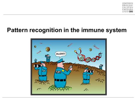 Pattern recognition in the immune system. Specific peptide recognition Antibody epitopes T-cell receptors recognizing peptides presented on MHC-molecules.