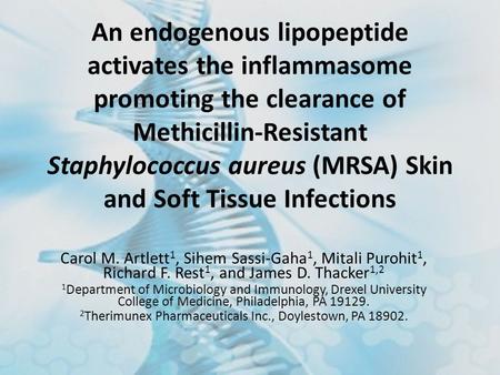An endogenous lipopeptide activates the inflammasome promoting the clearance of Methicillin-Resistant Staphylococcus aureus (MRSA) Skin and Soft Tissue.