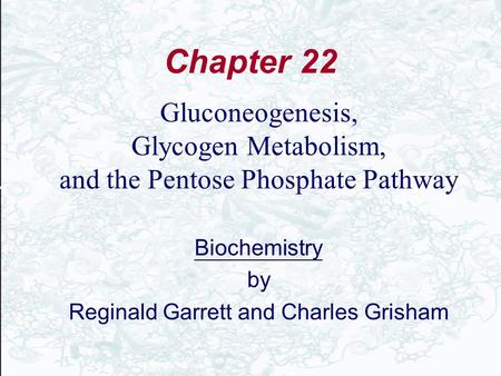 Chapter 22 Gluconeogenesis, Glycogen Metabolism,