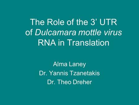 The Role of the 3’ UTR of Dulcamara mottle virus RNA in Translation Alma Laney Dr. Yannis Tzanetakis Dr. Theo Dreher.