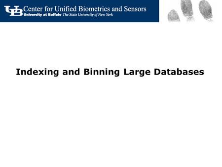 Indexing and Binning Large Databases
