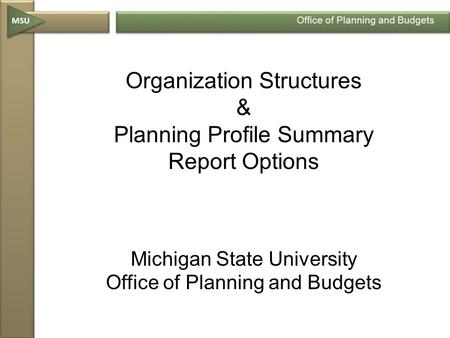 MSU Office of Planning and Budgets Organization Structures & Planning Profile Summary Report Options Michigan State University Office of Planning and Budgets.