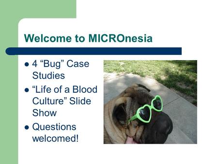 Welcome to MICROnesia 4 “Bug” Case Studies “Life of a Blood Culture” Slide Show Questions welcomed!
